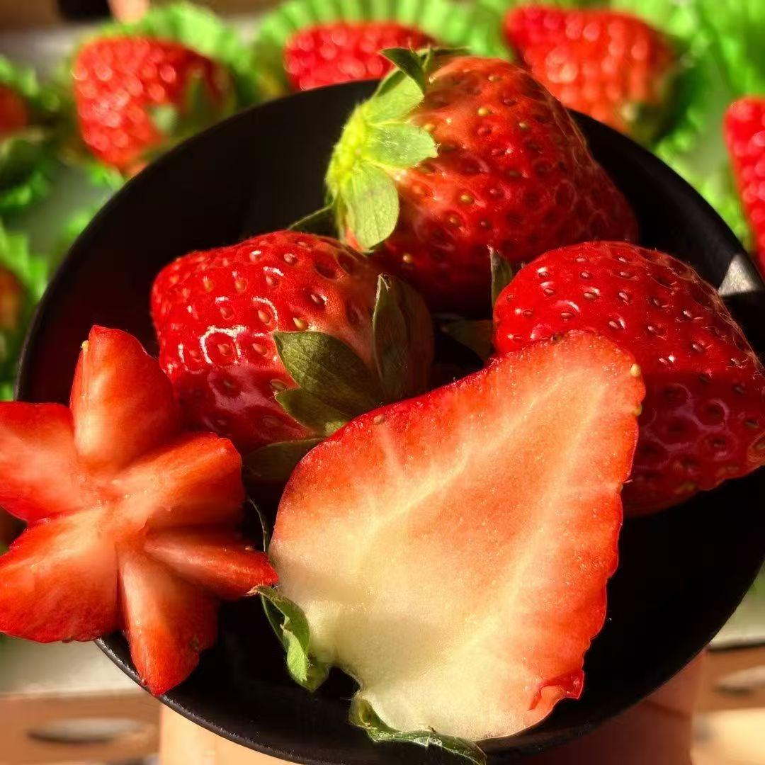 跟大家说一件事情，出门在外，有的时候真的得讲人情世故。我有一年回家，查了查高