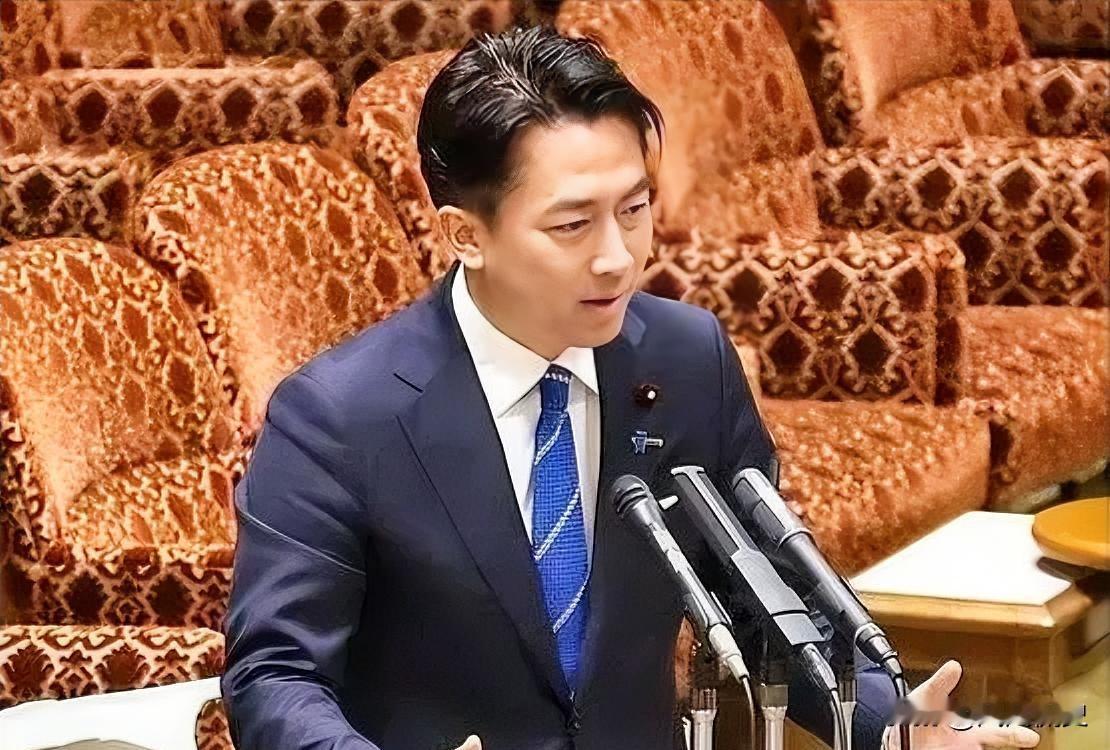 中国曾严正要求日本撤回“台湾有事，就是日本有事”的危险言论，可日本防卫大臣却态度