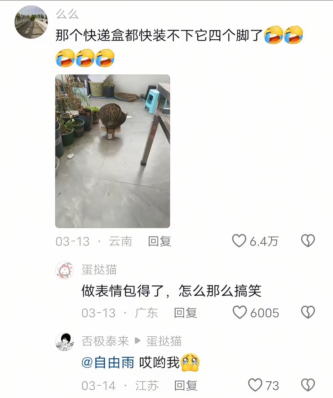 好笑吗我只看到了一个绝望的养猫入🐱