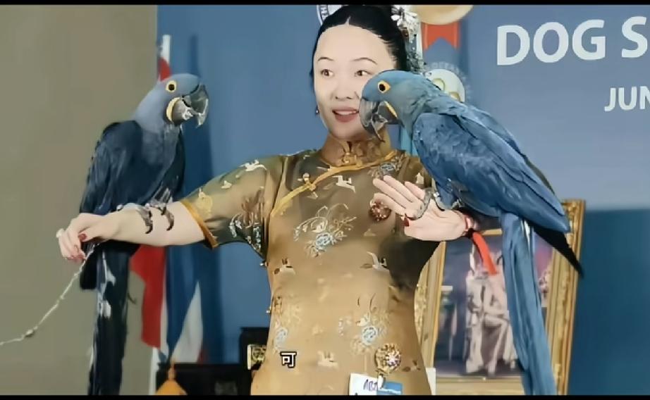 霍思燕这也太牛了！！！把狗狗训练成冠军就很牛了，没想到连家里的鹦鹉也被她精