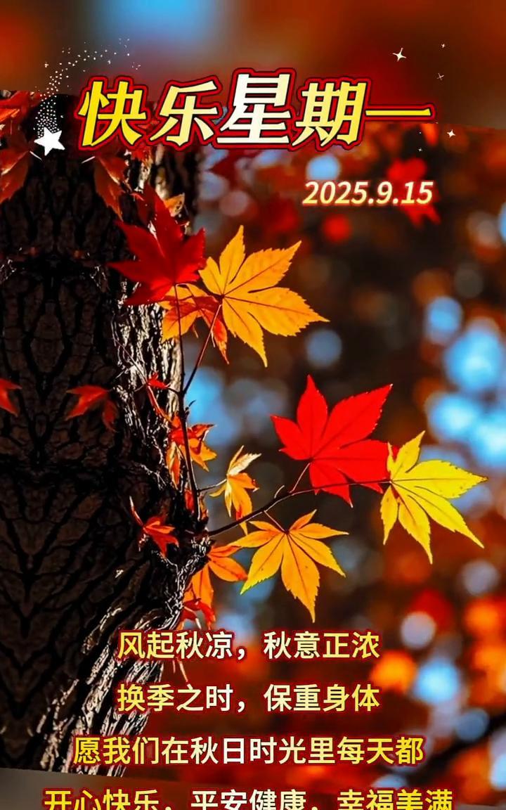 快乐星期一。风起秋凉，秋意正浓。换季之时，保重身体。愿我们在秋日时光里每天都开