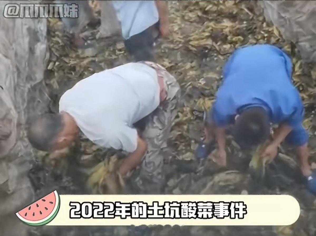 老坛酸菜已经塌无可塌了很庆幸我这辈子都不怎么爱吃老坛酸菜，没经受过这种考验……