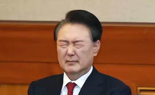 竟然想不到在韩国内仍有大量的民众支持者为尹锡悦进行请愿。这时候尹锡悦已经关进看守