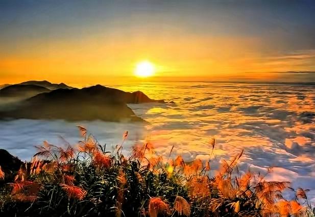 今天去小姑子家吃饺子，才算品出过日子的真味道：原来最舒服的生活，从来不是堆出来的