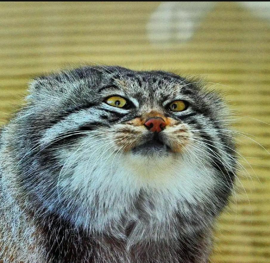 人老了，被子女讨厌？真相太扎心了！今天刷到这篇一篇“灵魂拷问”：人老了，若发现