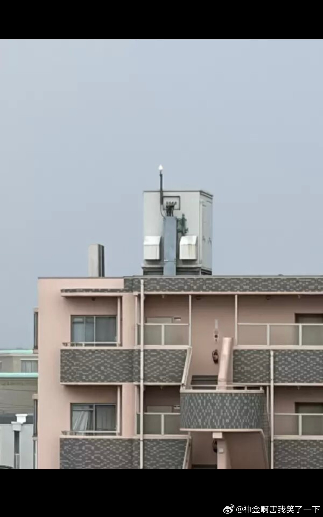 7033看到自由女神像了嘛​​​