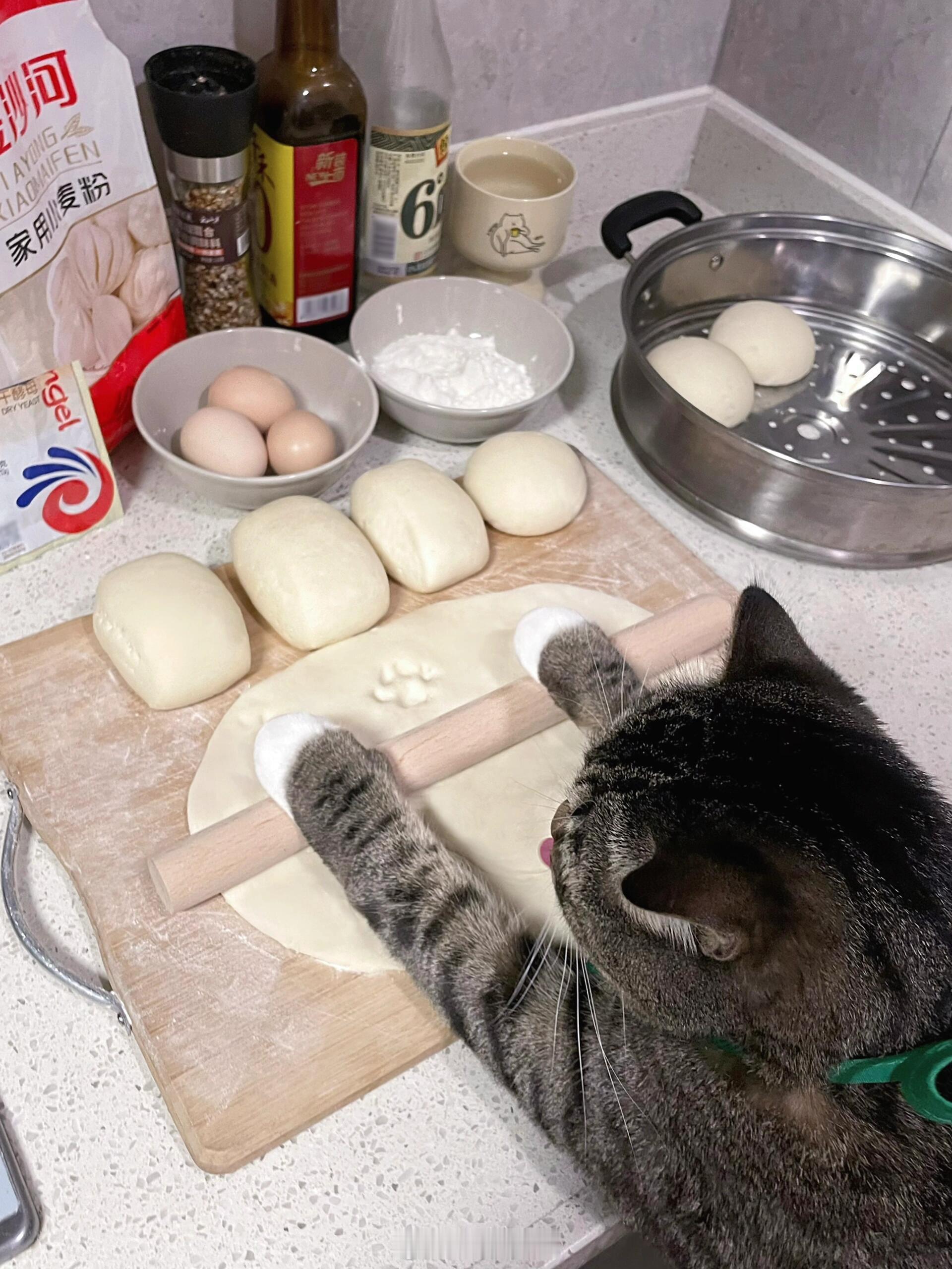 会做饭的小猫真的很加分​​​