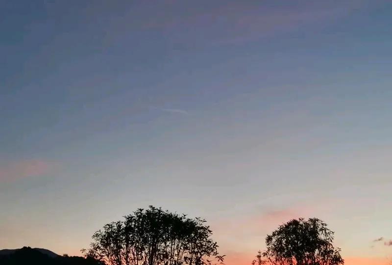 躺平的农村老师是靠机遇参加民办教师工作，又靠机遇转为公办教师，每周到学校时间酷似