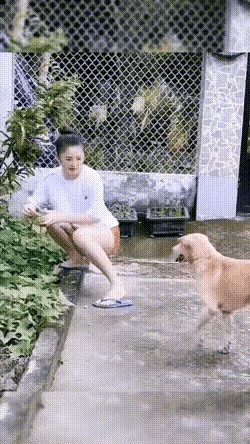 这样的狗狗有点色
