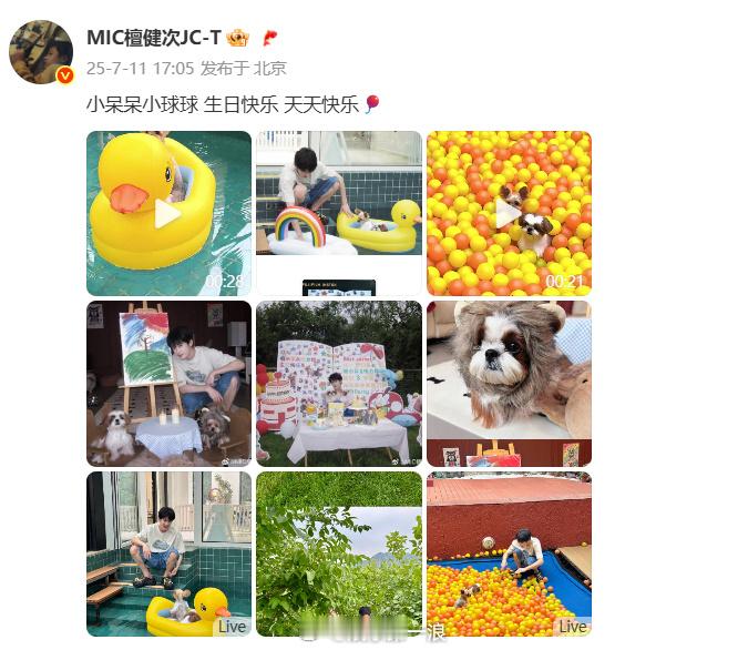 檀健次为狗狗呆球庆生檀健次为檀小呆檀力球庆生“小呆呆小球球生日快乐天天快