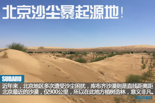 斯巴鲁“31座森林星之旅”第五季首站 库布齐沙漠公益植树&amp;越野体验