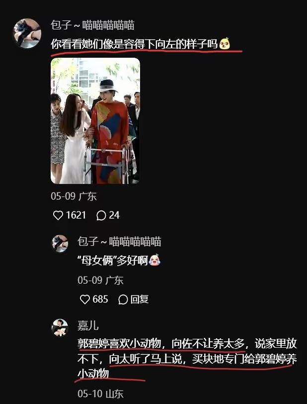 网友：向佐就是向太和郭碧婷之间多余的障碍物[狗头][笑着哭]。看完觉得好有道理，居
