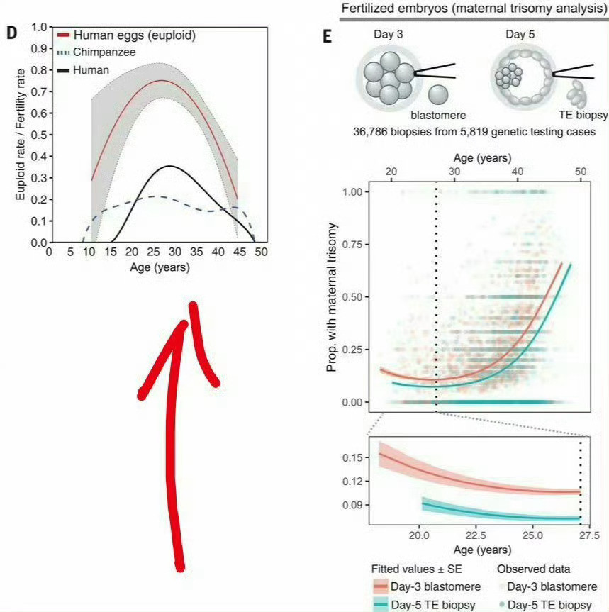 医生解读范曾87岁高龄得子从生理上说，男性也有最佳生育年龄：25-35岁。¹1