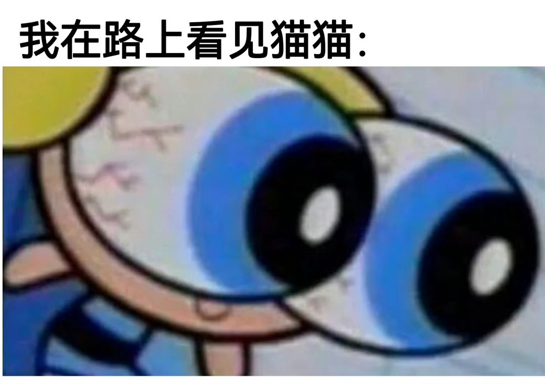我草猫猫