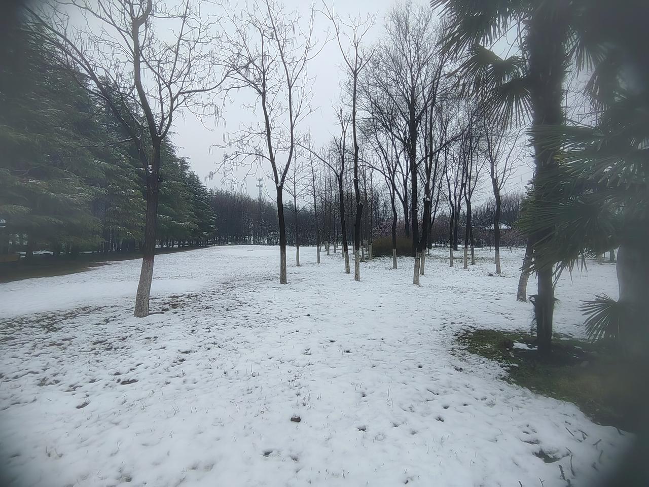 老家过去的“惯例”：村里有人在外面公干，老家去人要免费招待，有什么忙能帮尽帮，尤