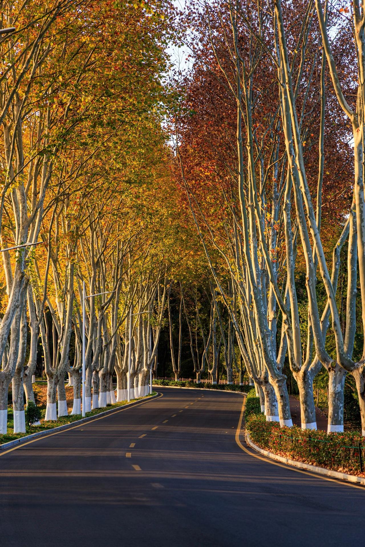 我们原来接了一个孩子，这个孩子是玄武高级中学的，数学非常的差，刚来的时候数学就考