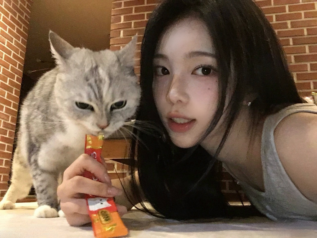 图里有两只小猫​​​