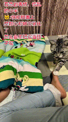 乖乖嘞，这猫咪简直成精啦！慢慢走到小宝宝跟前，轻轻扒拉娃嘞小脚，又摸摸后背。主
