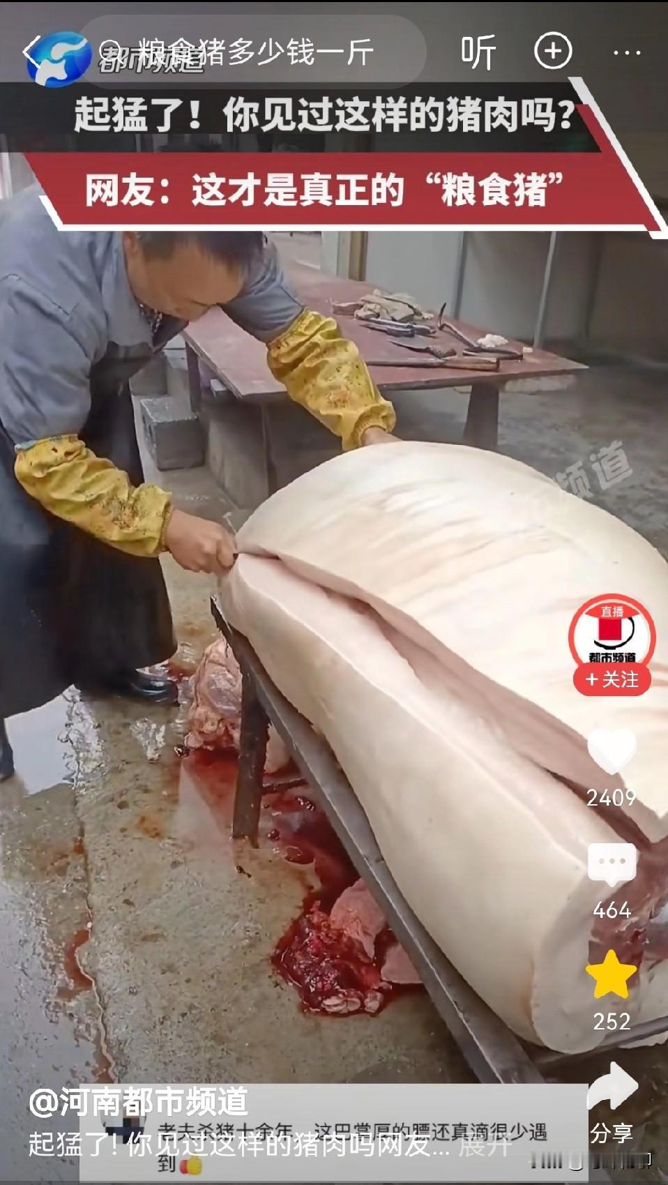 这才是真正的“粮食猪肉”，一看就是好肉，看这膘，最少有10公分吧，看着就好吃，市