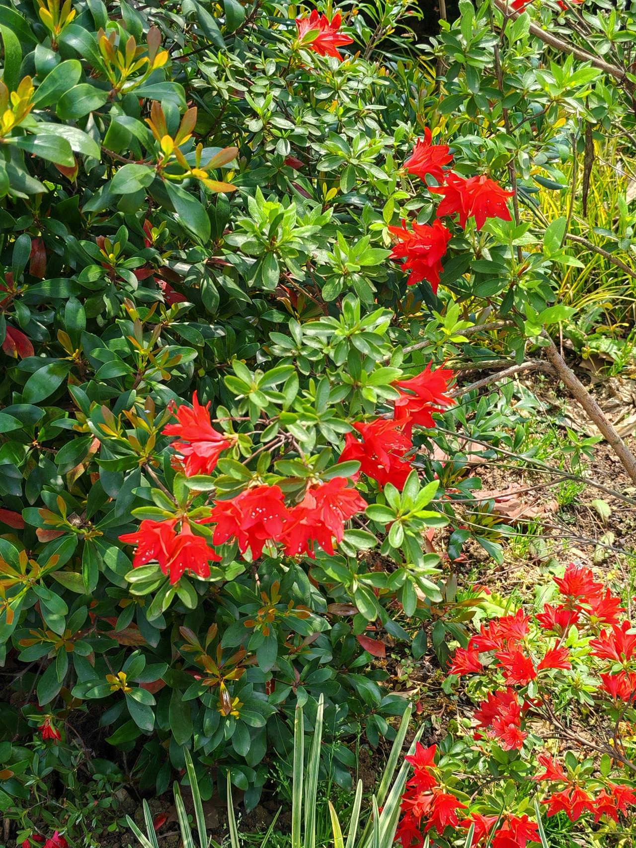 看到下面这些话，感觉有点太钻牛角尖、太悲观了吧，大多数人都是普普通通，不好不坏的