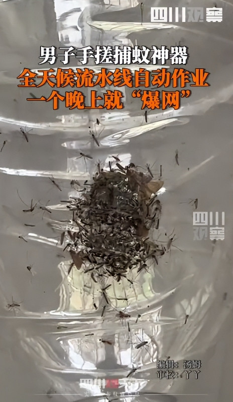 人怎么能这么聪明！”5月22日，福建厦门，一男子被村里的蚊子叮的不胜其烦，于是灵