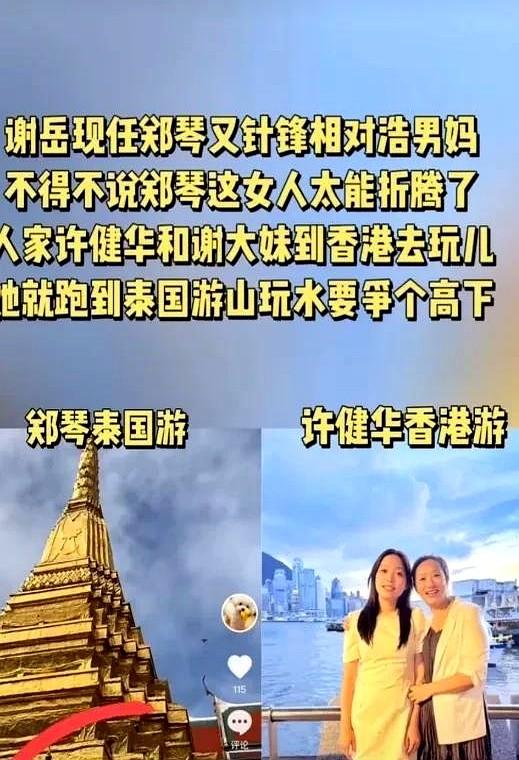郑琴很意外谢浩男会被找到，因为这件事对她很不利。她发动态狠狠地对健华说“我去