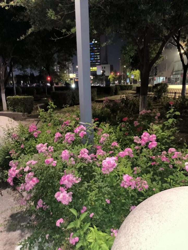近几年，婚外情剧增，有研究资料表明，造成这种现象的主要“推手”，就是免费的通