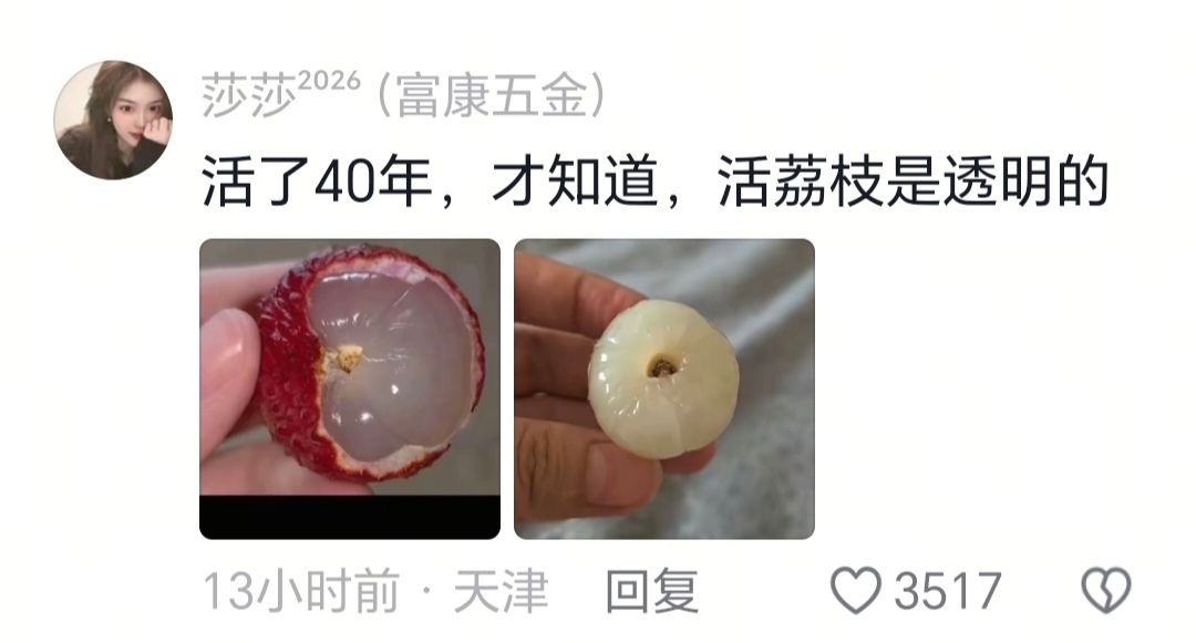 原来我从未吃过新鲜的荔枝