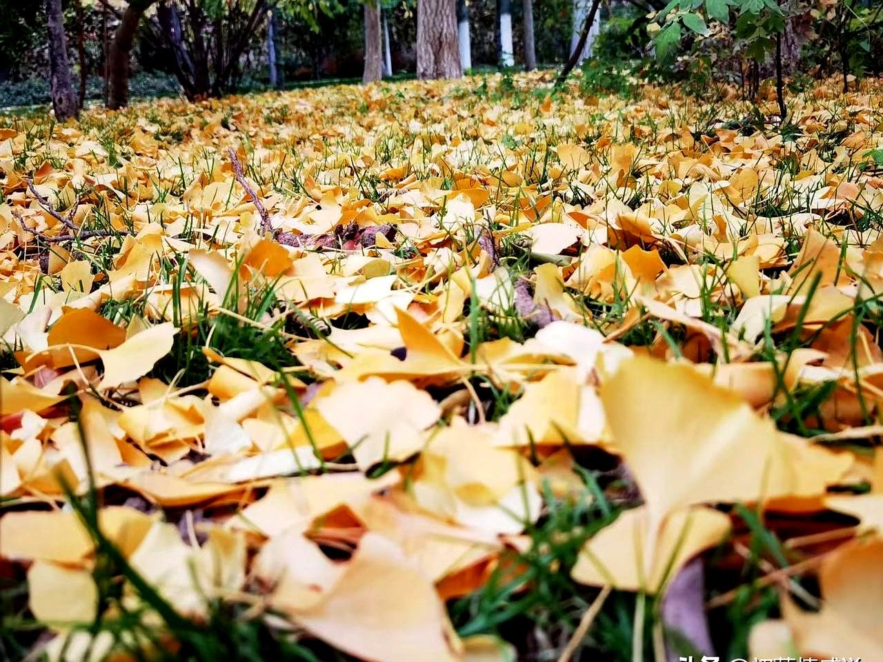 年纪大了真遭人嫌弃啊，特别是50岁以后。一位姐姐花了5年时间减肥20斤，