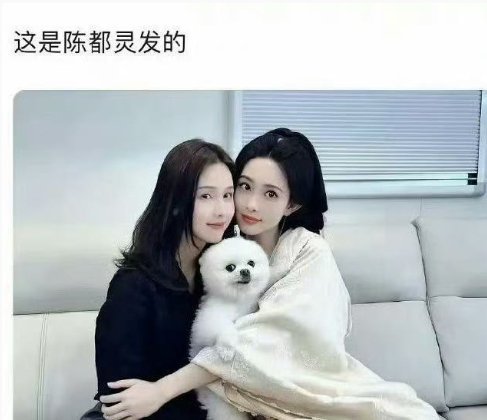 不管是谁发的，陈都灵在孟子义面前好普。。