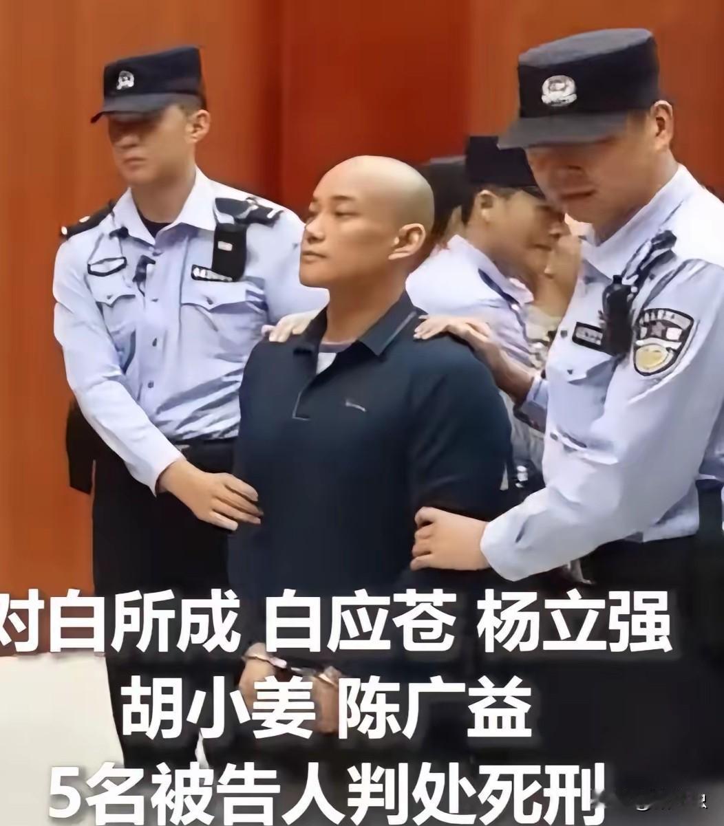 白所成父子的审判结果一出来明珍珍怕是彻底慌了神吧这消息跟惊雷似的，估计让她