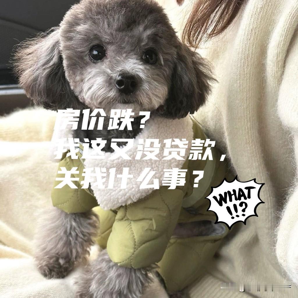 账面亏60万被怼到哑口无言：“没贷款，跌关我什么事？”这才是楼市清醒王客户最