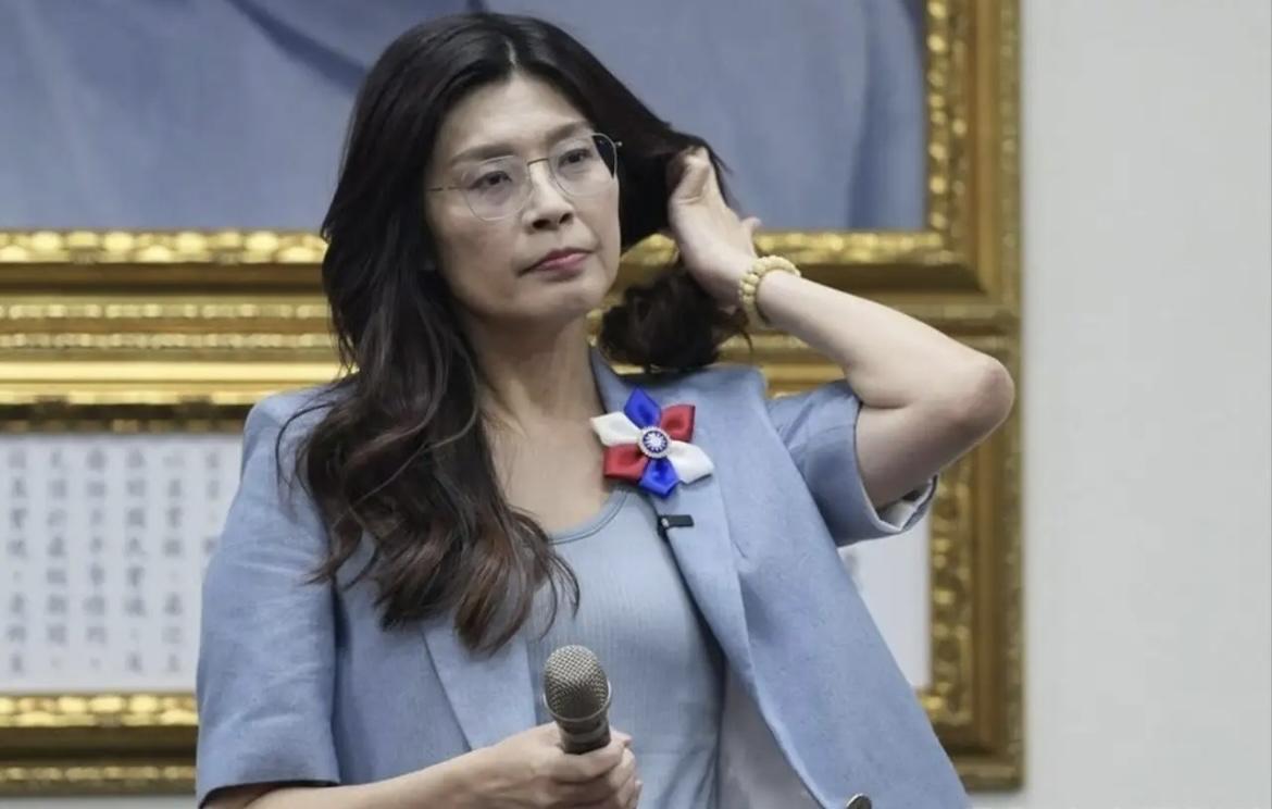 郑丽文骂人太凶？民进党前立委林浊水说她“比民进党还凶”，甚至称她是“政坛奇葩”—