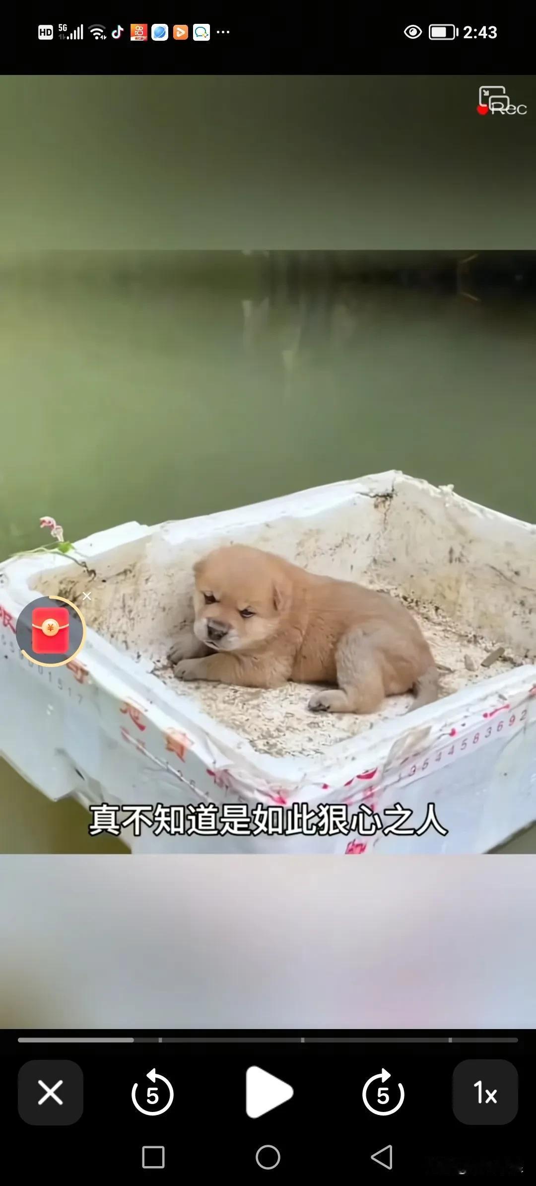 很狠心的主人把一只小奶狗装在塑料泡沫箱里，放在大河湍急的水流中，想让它自生自灭，