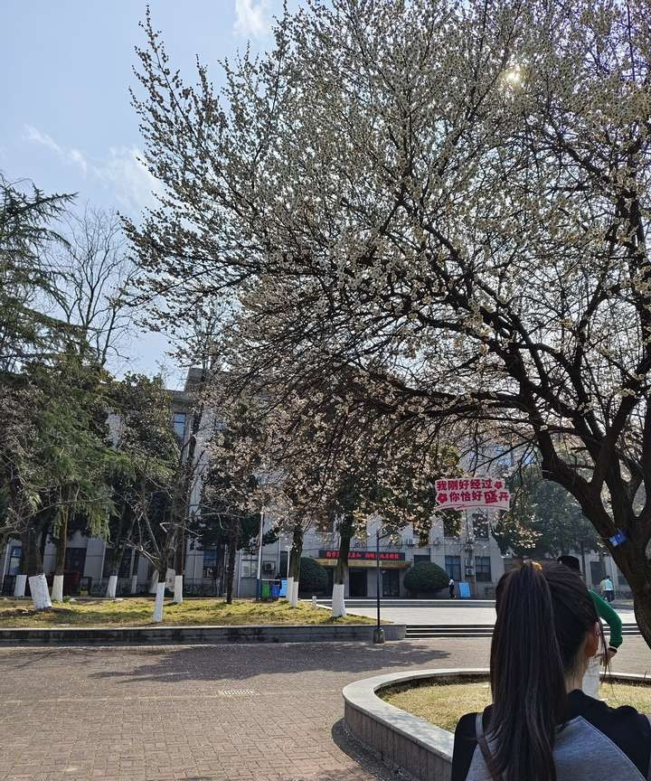 女生长得太漂亮是一种什么体验？会有很多人喜欢。我有个朋友特别好看，特别白，身