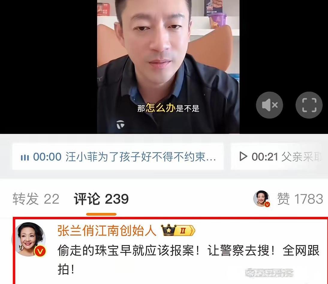 太逗了难怪张兰给汪小菲的留言这么霸气豪横呢，原来现在两个孩子的抚养权手续办理完
