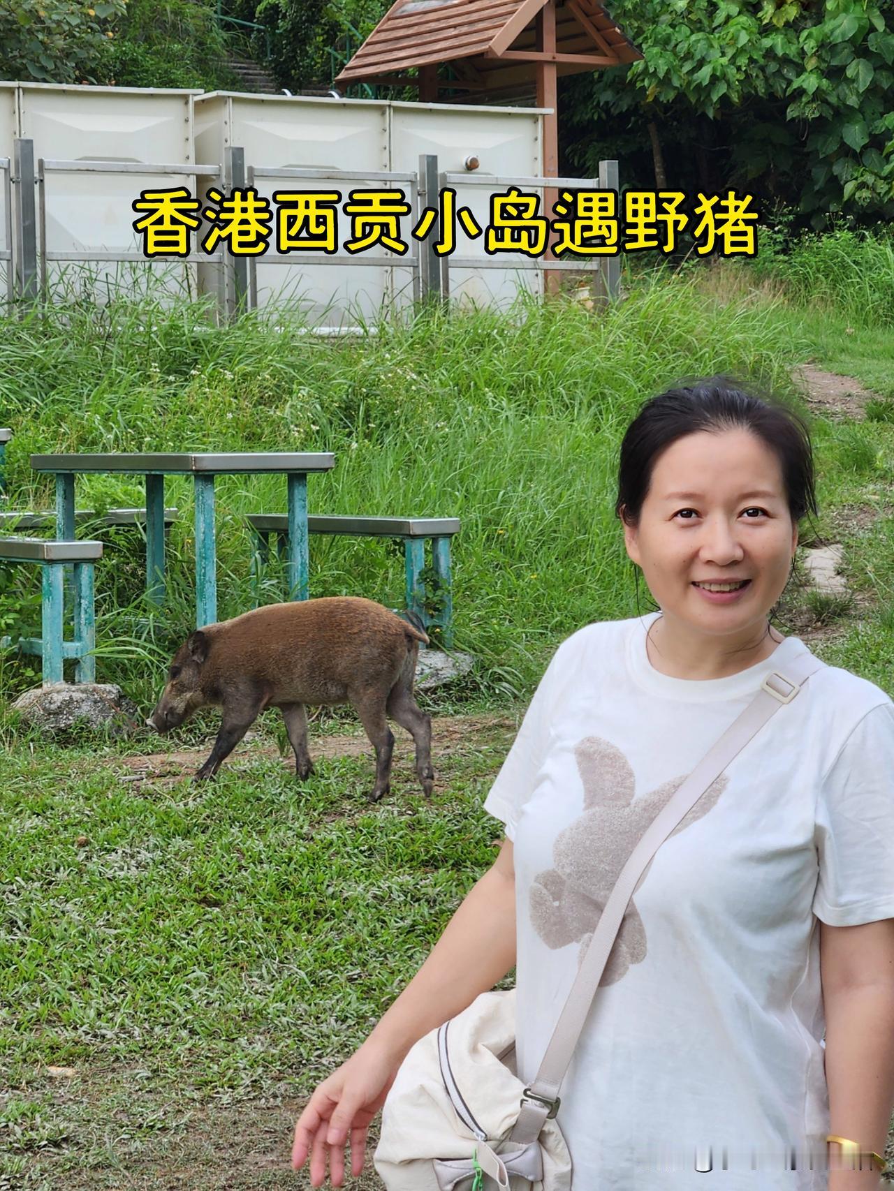 去香港玩了一天，1000块钱没了。孩子放暑假了，除了学习也得出去放松一下。我