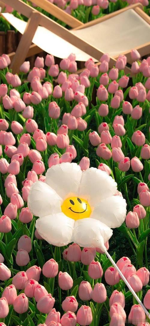 手机壁纸｜春日清新壁纸｜自然治愈｜绿意氛围感｜无水印｜护眼耐看｜日常百搭超舒心