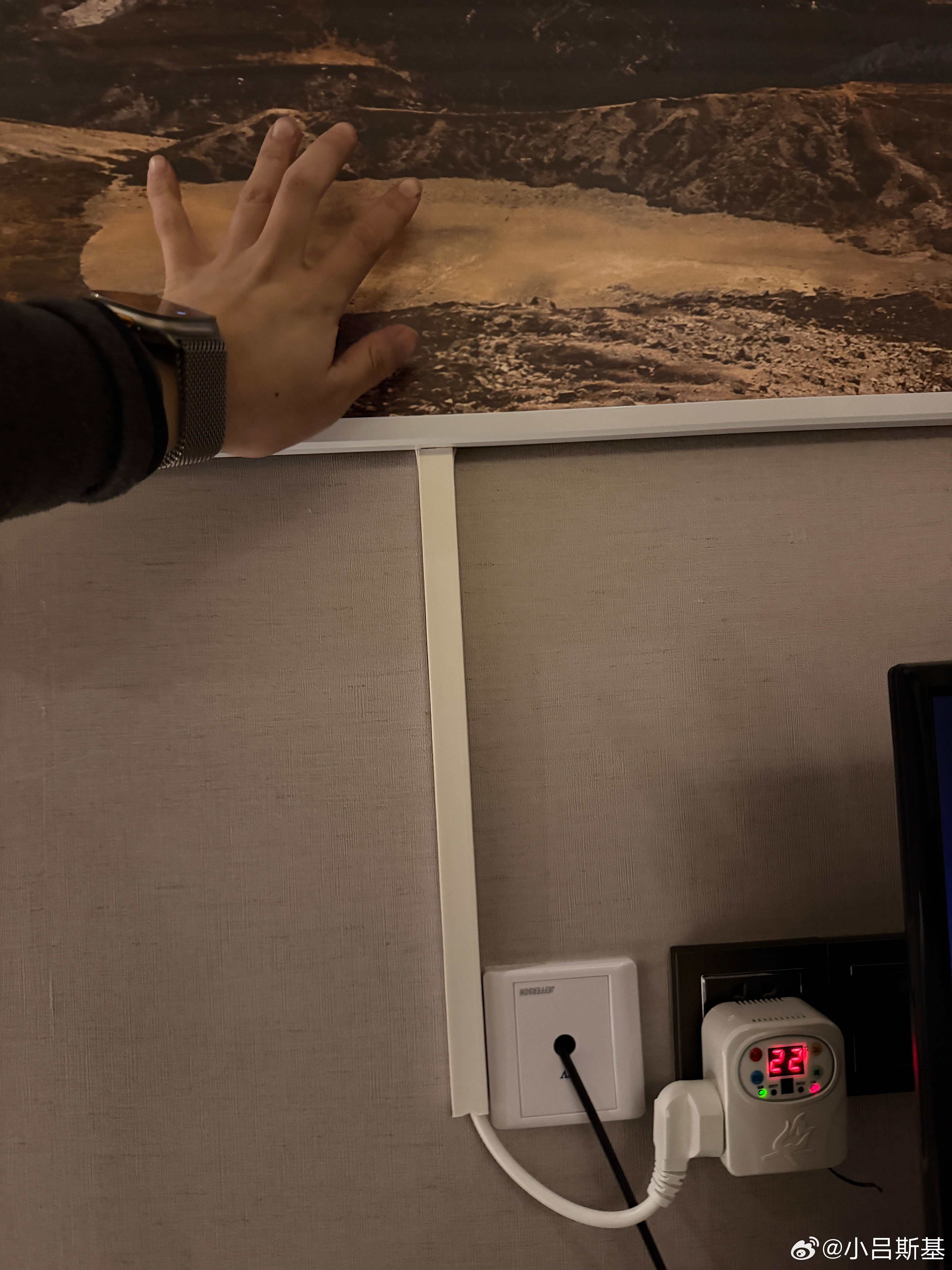 今天这酒店这幅画挺牛逼这是个暖气林芝·鲁朗