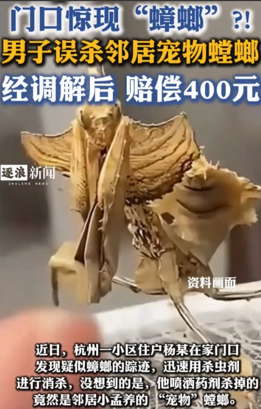 “解释不清了！”浙江，男子看到家门口有虫子，就用杀虫剂喷死了。结果邻居却找上门来