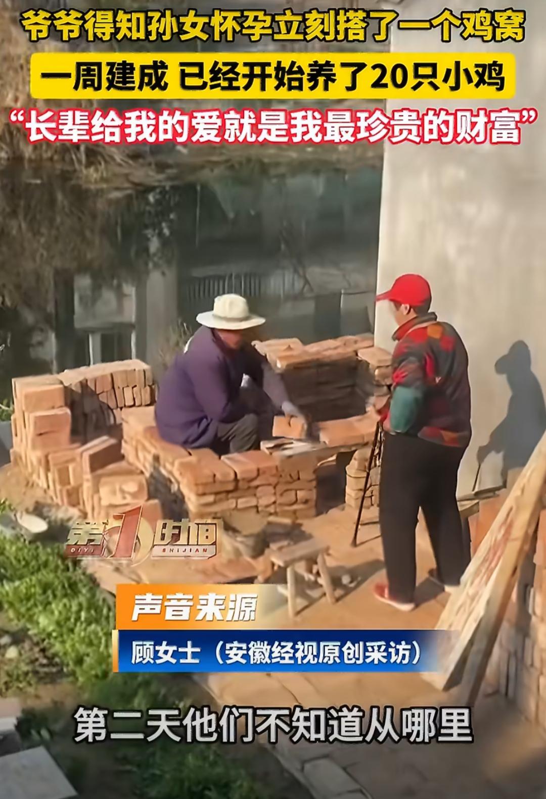 泪目了！江苏南通，爷爷得知孙女怀孕了，第二天就去买砖头花一周的时间盖了一个鸡窝，