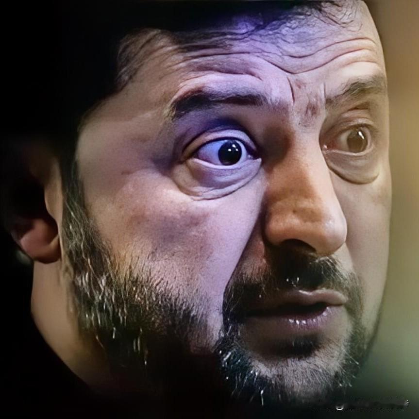 这消息太突然了，直接把乌克兰的心浇了个透心凉。德国防长皮斯托里乌斯26号公开