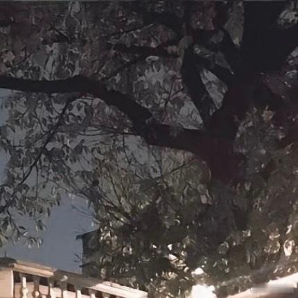 0000笃行不负韶华岁月匆匆而过，朝夕更迭间，日子始终在向前推进。生活里少有唾手