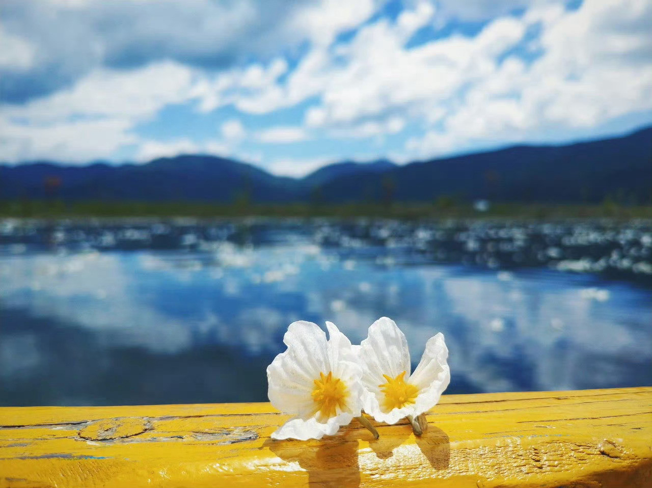 泸沽湖的蓝，是不用任何滤镜的蓝。那蓝耀眼，摄人心魄，躺在天地间，让你一眼就看到它
