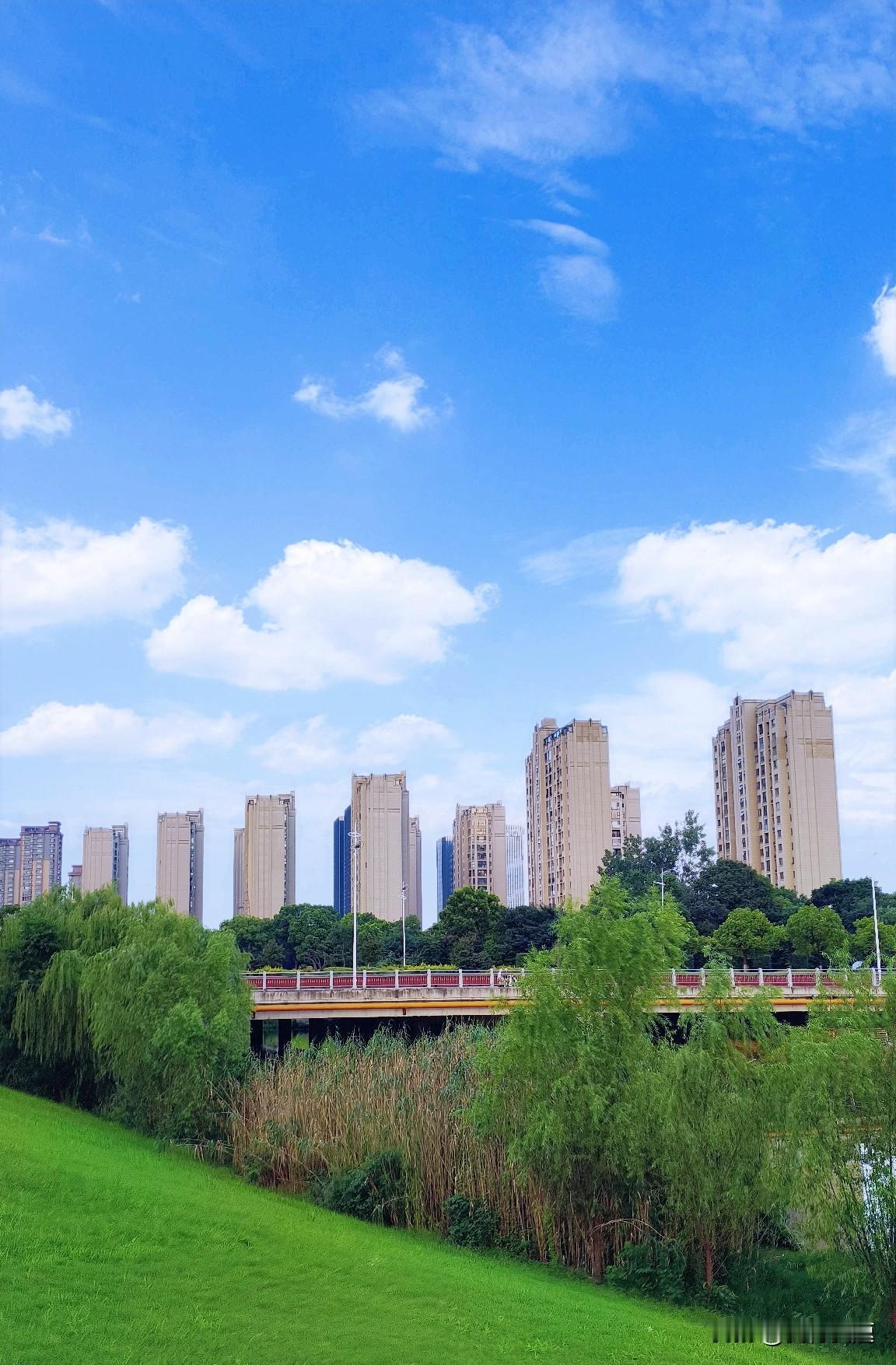 南京这天气真是绝了，三伏天尾巴上还来个小高温，空调又得全天伺候着。虽说已经到末伏
