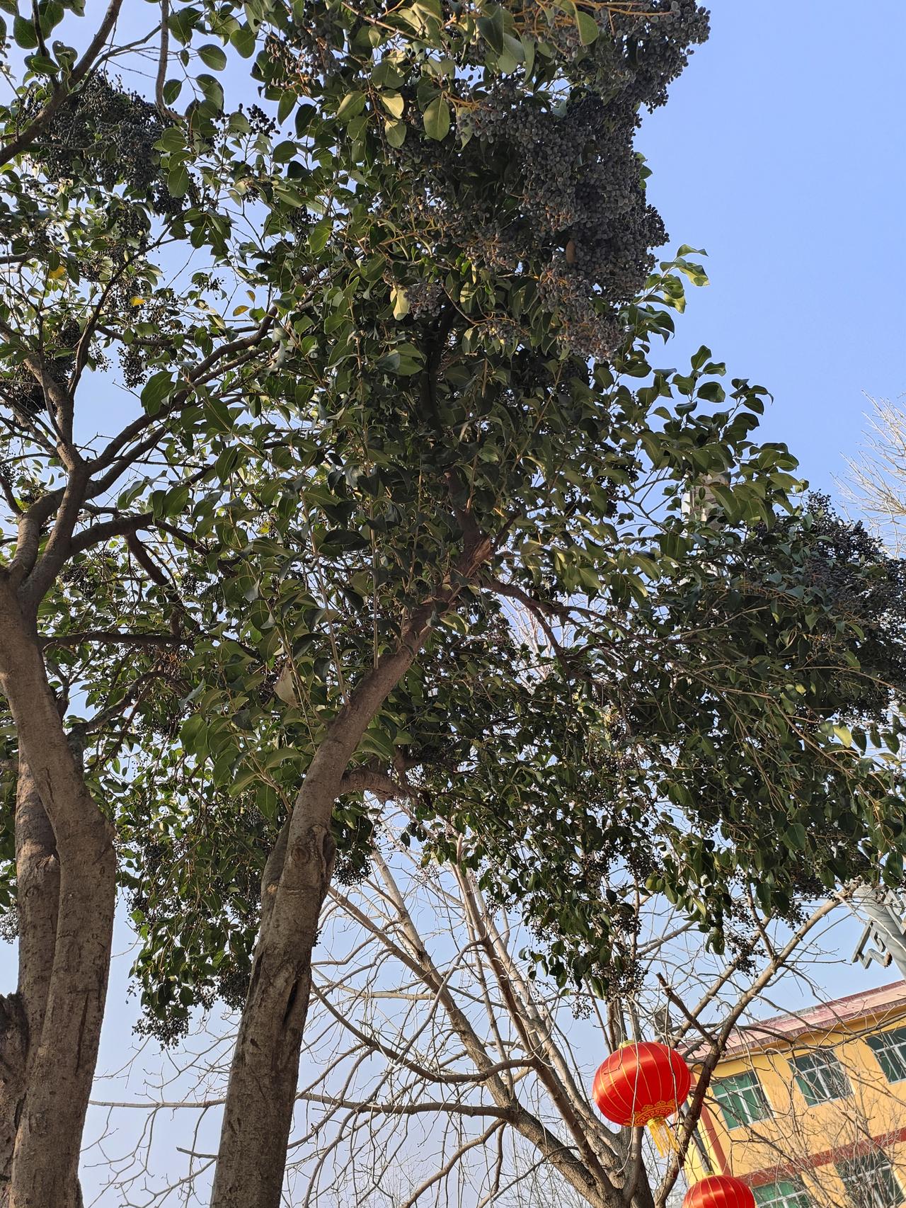 家里有个“拎不清”的人，是全家的灾难，再亲也没用！过日子，不怕穷，不怕累，