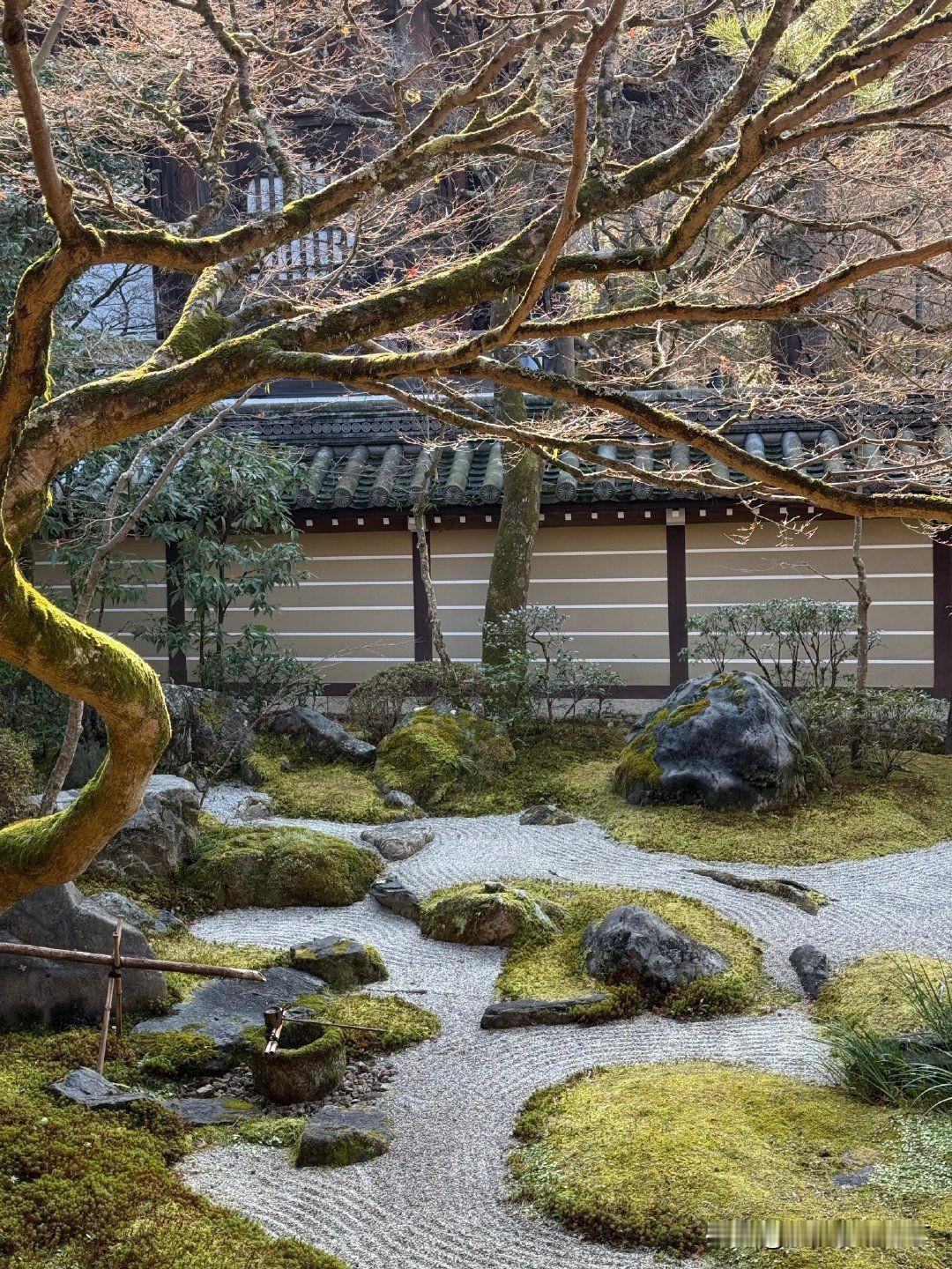 为什么有些人家里的庭院汀步做起来那么好看？而你自己尝试动手去做时总感觉差了点味道