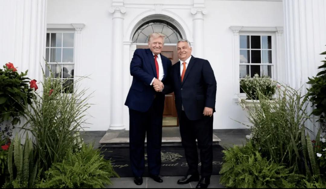 特朗普二骂佩洛西！昨天，特朗普在同来访美国的匈牙利总理欧尔班共见记者时有批评了