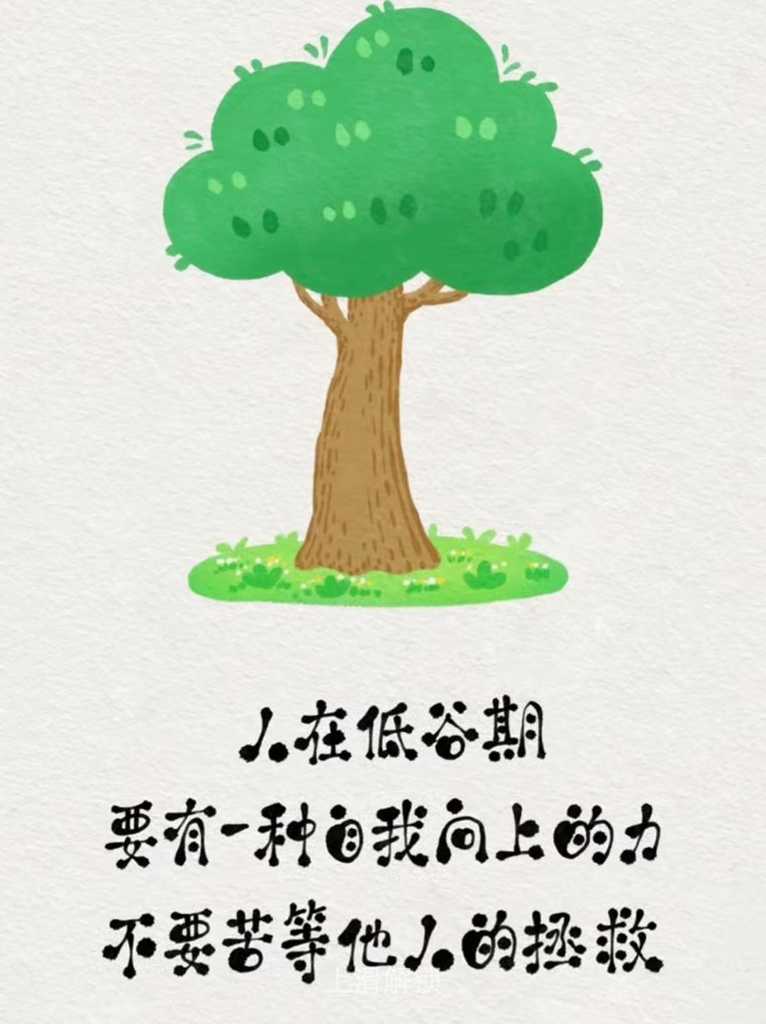 善念播下的种子，终会在时光里长成繁茂的浓荫，来日方长，自会护你一世周全。我