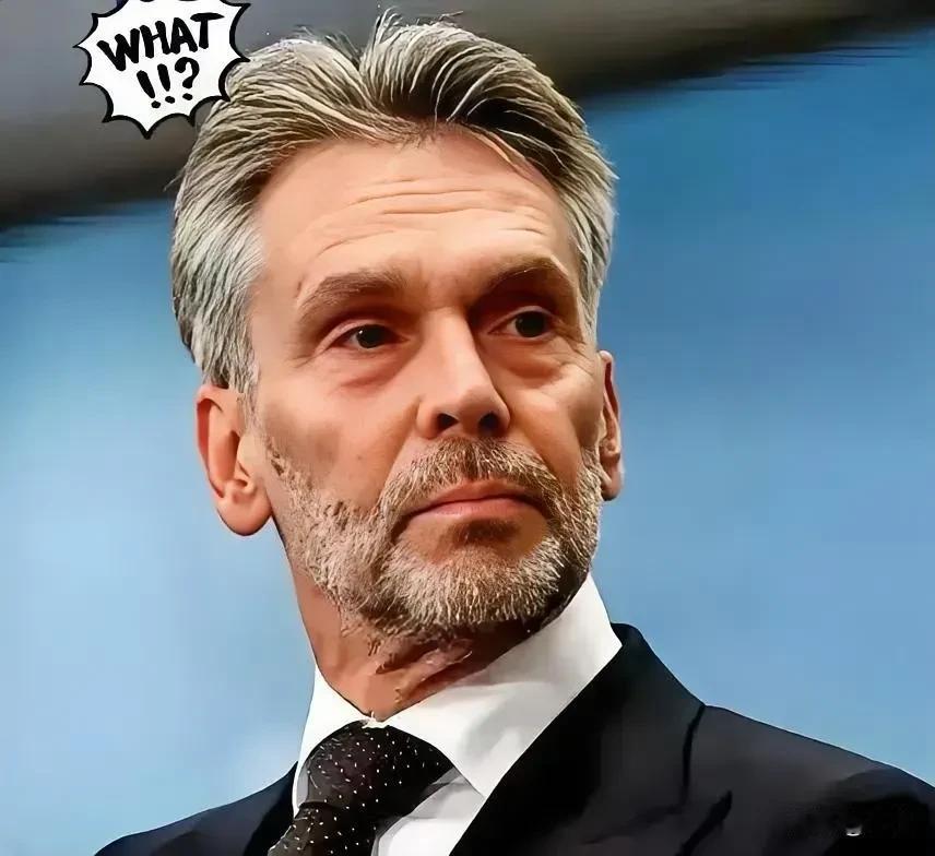 荷兰企业法庭做出裁决2月11日，闻泰科技发布公告，荷兰企业法庭做出裁决，维持了